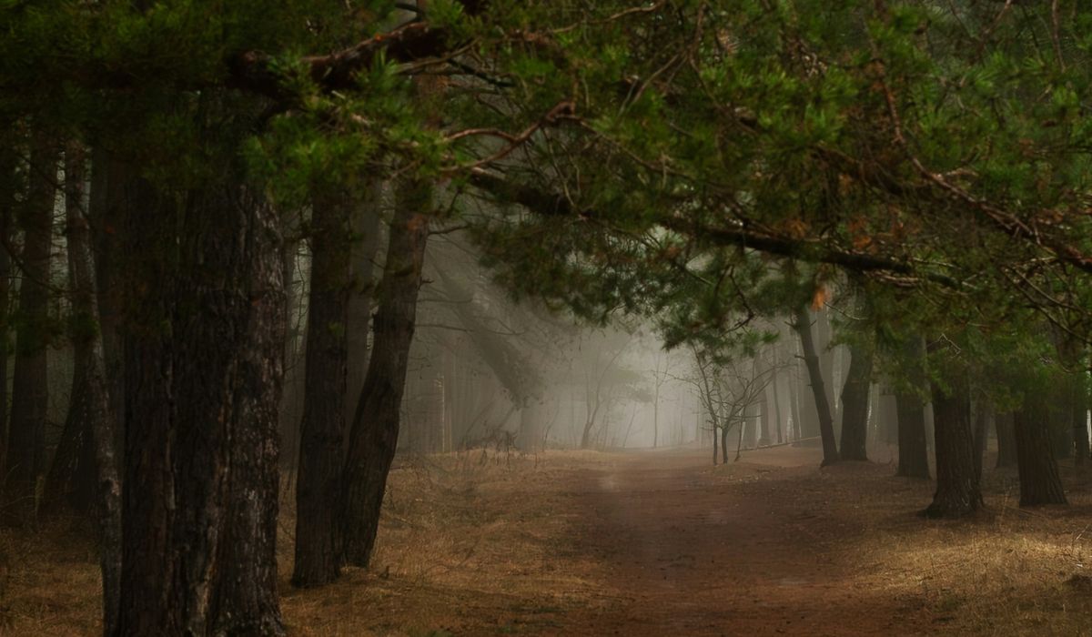 Building a Story World from Myth and Memory