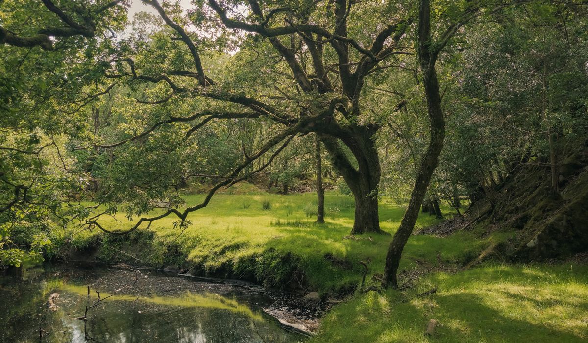 The Enduring Appeal of Arthurian Romance