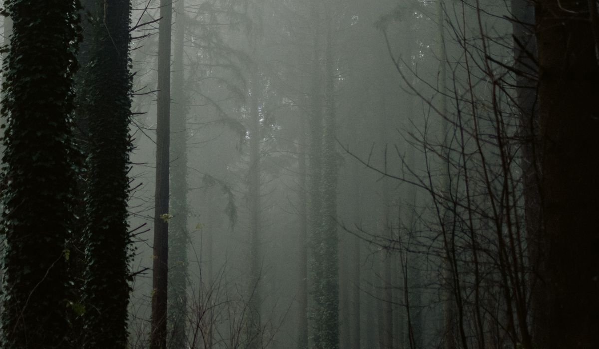 Using Folklore to Inspire Your Creative Writing
